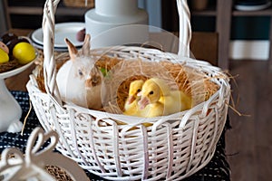 White Bunny and three duck white basket on table