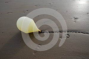 White buoy on a chain with reflection on a beach at low tide in Blankenberge, Belgium