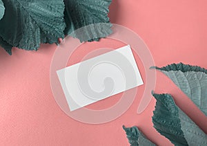 White business card on a soft pink background.