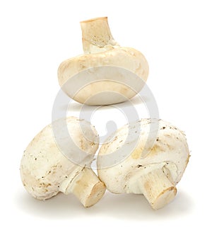 White Button Mushrooms