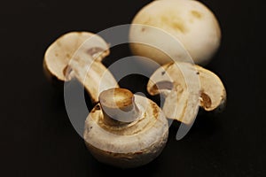 White button mushrooms, or agaricus isolated on a black background