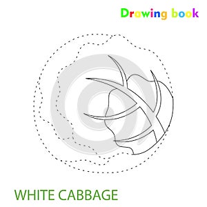 White cabbage coloring and drawing book vegetable design illustration