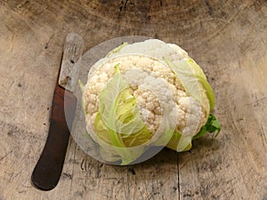 White cabbage head on wooden background