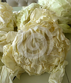 White cabbage, white cabbage for making stuffed