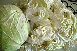 White cabbage for making stuffed,white cabbage cut into pieces on the counter