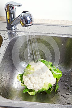 White cabbage in the sink