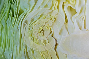 White cabbage, texture.