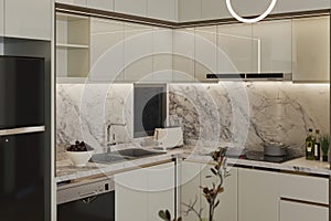 White Cabinet Placement Into Stylish Kitchen, Crockery, Utensils, Ceiling LED Light