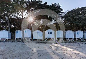 White cabins in Noirmoutier island photo
