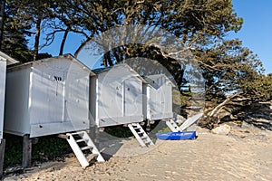 White cabins in Noirmoutier island photo