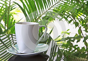 White cafe cup in indoor