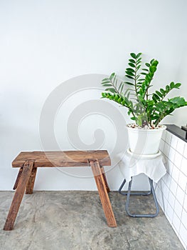 White cafe decoration minimal style. Green leaves in white pot and wooden bench on white wall background
