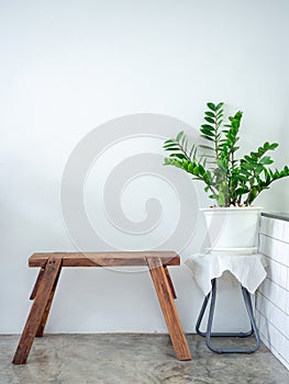 White cafe decoration minimal style. Green leaves in white pot and wooden bench on white wall background