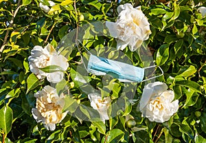 White Camellia Covert-19 Face Mask