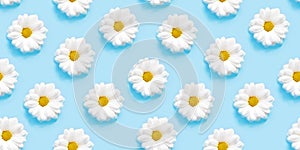 White camomiles on a blue background. Seamless pattern.