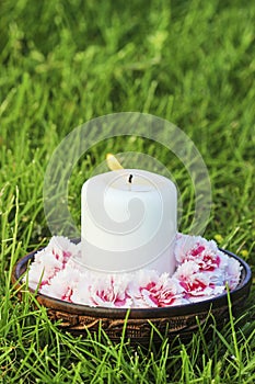 White candle among carnation flowers