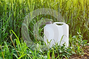 White canister plastic can as herbicide container in cultivated barley crop field with weed