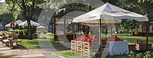 a white canopy tent, with crates of fresh strawberries, surrounded by other booths showcasing a variety of products and