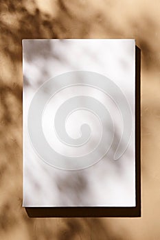 White canvas, blank picture mockup hanging on beige wall with dark shadows of leaves. Poster mockup, empty canvas with shadows of