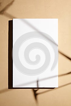 White canvas, blank picture mockup hanging on beige wall with dark shadows of leaves. Poster mockup, empty canvas with shadows of