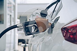 White car at gas station filled with fuel. Closeup pumping gasoline fuel in car at gas station