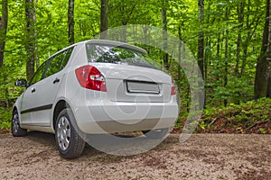 White car parked in green forest nature landscape