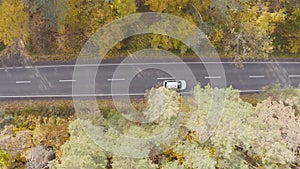 White car riding along route in yellow autumnal forest. Auto driving at rural road at autumn season. SUV moving through