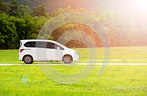 White car on the road and green grass park