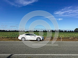 Blanco auto interrumpido sobre el borde de carretera sobre el pradera 