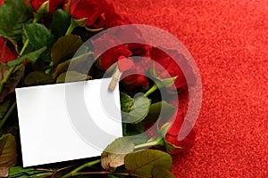 White card with a copy space against the background of red roses, a postcard valentine`s day