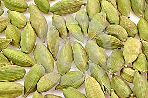 White cardamom