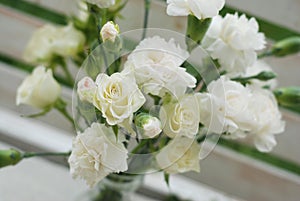 White Carnation Dianthus Flower Bouquet Bloom Summer Time .