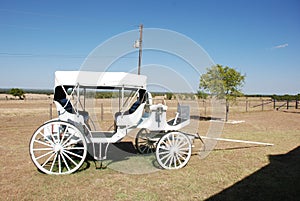 White carriage in a field