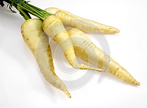 White Carrot, daucus carota, Vegetable against White Background