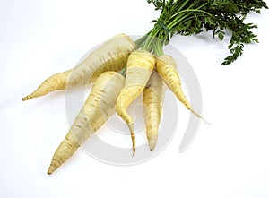 White Carrot, daucus carota, Vegetables against White Background