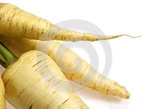 White Carrot, daucus carota, Vegetables against White Background