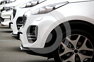 White cars staying in line free stock image
