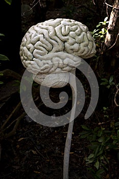 White carving of a human brain