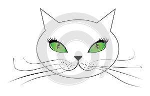 White cat face with green eyes