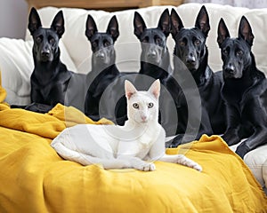 A white cat and group of black dogs. Generative AI