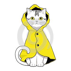 White cat in yellow raincoat