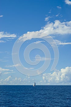 White catamaran with a sail in open ocean