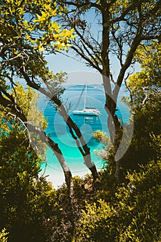 White catamaran yacht in clear blue transparent sea water surface hidden framed by branches of pine tree. Amazing