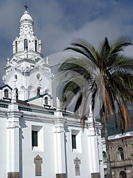 White Cathedral with a Palm Tree