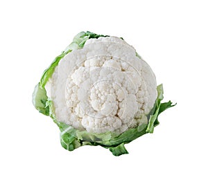 White Cauliflower photo