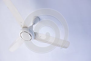 White ceiling fan on a white ceiling