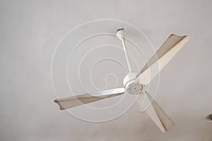 A White Ceiling Fan