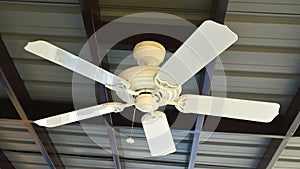 White ceiling fan