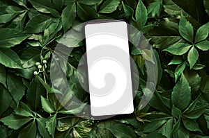 White cell phone screen template for advertising ads on green leaves background.