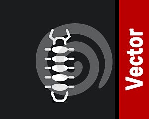 White Centipede insect icon isolated on black background. Vector